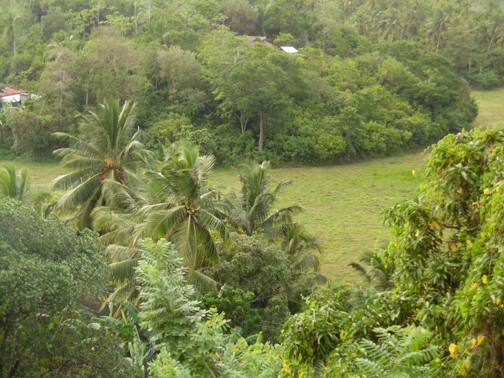 Mount View Villa Resort Mirissa Exteriér fotografie