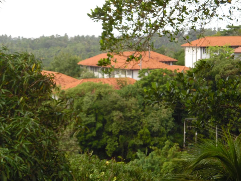 Mount View Villa Resort Mirissa Exteriér fotografie