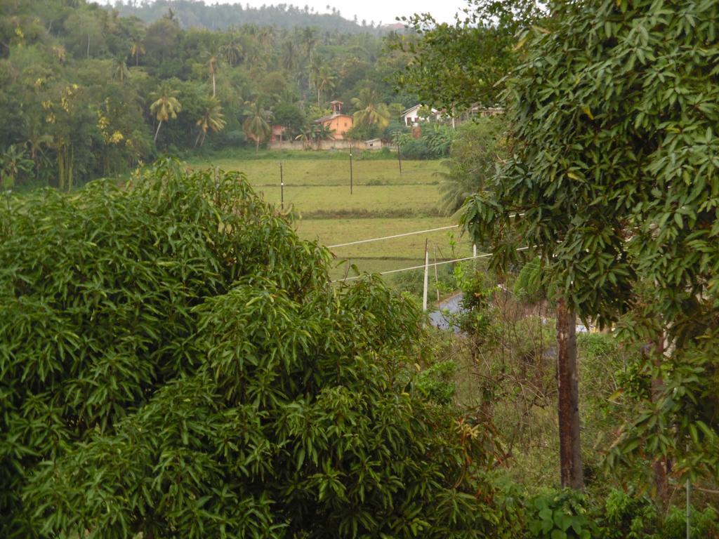 Mount View Villa Resort Mirissa Exteriér fotografie