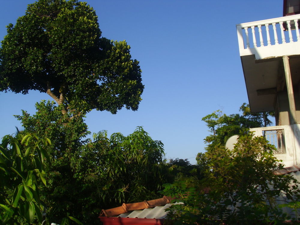 Mount View Villa Resort Mirissa Exteriér fotografie